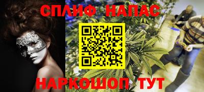 MDMA Гатчина