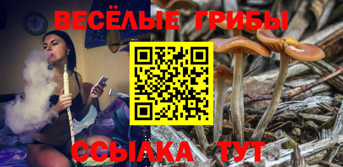 ГАШ Моздок
