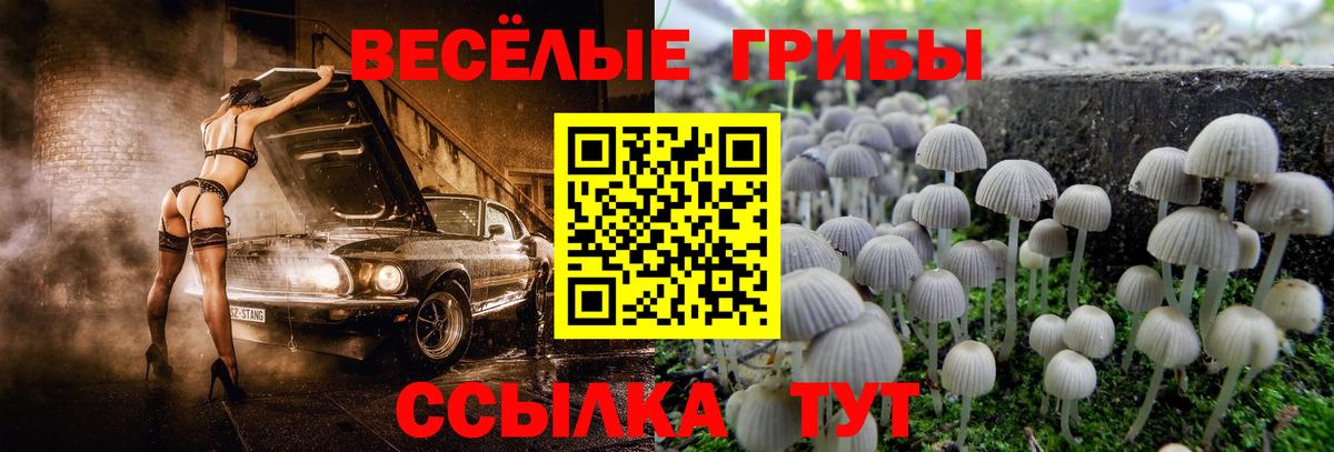 Моздок  Галлюциногенные грибы ЛСД  Галлюциногенные грибы ЛСД  Вход с VPN 